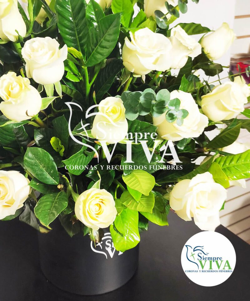 Arreglo de 32 Rosas Blancas y gardenias CODAF380-2-log