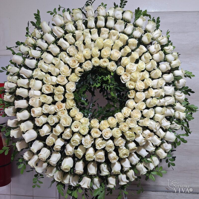 corona-funebre-rosas-blancas-jesus-maria Corona fúnebre de rosas blancas en doble aro con parante de aluminio – Siempre Viva Florería en Jesús María y Pueblo Libre